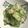 クック0JHXH3☆'s cooksnap of when they made かに缶 きゅうり だけ！ 簡単.