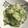 クック0JHXH3☆'s cooksnap of when they made かに缶 きゅうり だけ！ 簡単.