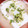 みゆちゃんママちゃん's cooksnap of when they made 絹ごし豆腐としらすの白だしみぞれ煮.
