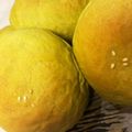 ラブショク's cooksnap of when they made HBで白あんの抹茶あんぱん.