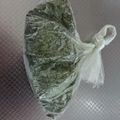 小麦粉【100g】's cooksnap of when they made 自家製：乾燥ヨモギ♪.