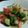 のえもゆ's cooksnap of when they made （甘糀）アボカドとパクチーのごまサラダ.
