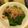 KAAASM's cooksnap of when they made レンジで簡単◎ほうれん草の冷凍保存の方法.
