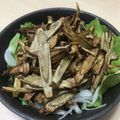 あきプー☆'s cooksnap of when they made 揚げごぼうのカリカリサラダ.