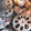 ☆しいたんママ☆'s cooksnap of when they made とりむね煮物◆ごぼうと人参♪柔らか～.