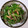kenshirou9's cooksnap of when they made 水菜とえのきの胡麻塩昆布サラダ.