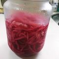 くにぴゆりぴのマミー's cooksnap of when they made 自家製☆紅しょうが.