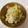 アルフ24da's cooksnap of when they made 白菜とツナの簡単サラダ。.