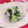 みっくママ's cooksnap of when they made ほうれん草とじゃこの和えもの♡.