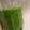 クックOMS3GK☆'s cooksnap of when they made ダイエットに！グリーンスムージー.