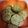まおふう's cooksnap of when they made ✪簡単☺ザクッサクックッキー✪.