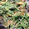 akichou's cooksnap of when they made 水菜消費☆水菜とベーコンのオイスター炒め.