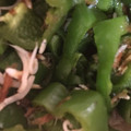 ma___111's cooksnap of when they made 定番の『しらすとピーマン炒め』❤️.