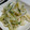 ヨシヨッシー's cooksnap of when they made 時短☆もやしの胡麻味噌マヨ和え.