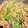 クックVWQEPQ☆'s cooksnap of when they made 豆苗と豚ミンチの豆板醤炒め.