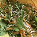 めいたんのママ's cooksnap of when they made 覚え書き　水菜作り置きサラダ.