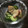 やえじろう's cooksnap of when they made タコときゅうりの酢の物.