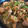 YuuminPad's cooksnap of when they made 鶏肉とまいたけのおろし煮.