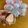 クックりーちゃん's cooksnap of when they made レンジで簡単！ぶどう大福.