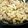 クックX97RHQ☆'s cooksnap of when they made 豚ロース・カリフラワーの味噌マヨ炒め.