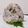 まやしゅうまま's cooksnap of when they made おっさんの大葉とシラスの混ぜご飯.
