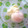 迦楼羅's cooksnap of when they made 簡単!!炊飯器で作る温泉卵.