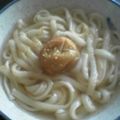 kaorulove's cooksnap of when they made 艶うどんde風邪ごはん.