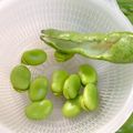 なりのり１３'s cooksnap of when they made 空豆のさやの剥き方.