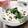 みきんたちゃん's cooksnap of when they made ぼうふうと新玉ねぎのサラダ.