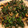 クック1OC20D☆'s cooksnap of when they made ラム挽肉とパクチーと松の実の炒め物.
