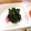 どらど～ら's cooksnap of when they made ほうれん草の生姜醤油和え【作り置き】.