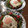 ﾌﾞﾚﾝﾀﾞ's cooksnap of when they made 少量レタスde簡単きれいな細切り☆方法.