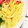 ぷっくりんご's cooksnap of when they made 失敗しない！美味しい錦糸卵の作り方.