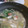 sakorinrin's cooksnap of when they made 豆腐と青梗菜のみぞれ煮.