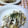 ねっちゃんっ's cooksnap of when they made 野菜とたまごのお好み焼き風！？.