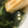 yurietti's cooksnap of when they made 白だしで！ほうれん草ともやしのお雑煮風.