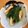 クック7JDJA6☆'s cooksnap of when they made 小松菜の煮浸し.