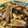 kazurin611's cooksnap of when they made 鶏肉とごぼうたけのこ厚揚げの煮物.
