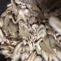 こんこんだー's cooksnap of when they made 豚肉とごぼうと人参のきんぴら風炒め煮.