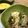sunnykt's cooksnap of when they made 簡単美味しいすき焼き 〜割り下の黄金比〜.