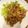 クックB6CB8U☆'s cooksnap of when they made ショウガ効きまくり豚しょうが焼き.