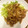 クックB6CB8U☆'s cooksnap of when they made ショウガ効きまくり豚しょうが焼き.