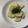 joy09's cooksnap of when they made 香ばし☆長いものソテー.