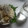 aizu_po's cooksnap of when they made 簡単！しらすおろしDEぐずぐず冷奴♪.