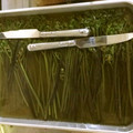 クックJO4GWW☆'s cooksnap of when they made ワラビのアク抜きと塩蔵保存.