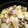 クックE7AY42☆'s cooksnap of when they made 簡単☆鶏もも肉の塩レモングリル.