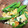 chokomashu's cooksnap of when they made 絹さやの卵とじ.