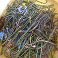ゆうりママ's cooksnap of when they made 簡単！＊旬のわらびのアク抜きの方法.