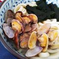 まっちゃみるくぅ's cooksnap of when they made あさりたっぷり白だしうどん.