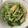 matsu1016's cooksnap of when they made 水菜とお揚げのさっと炒め.